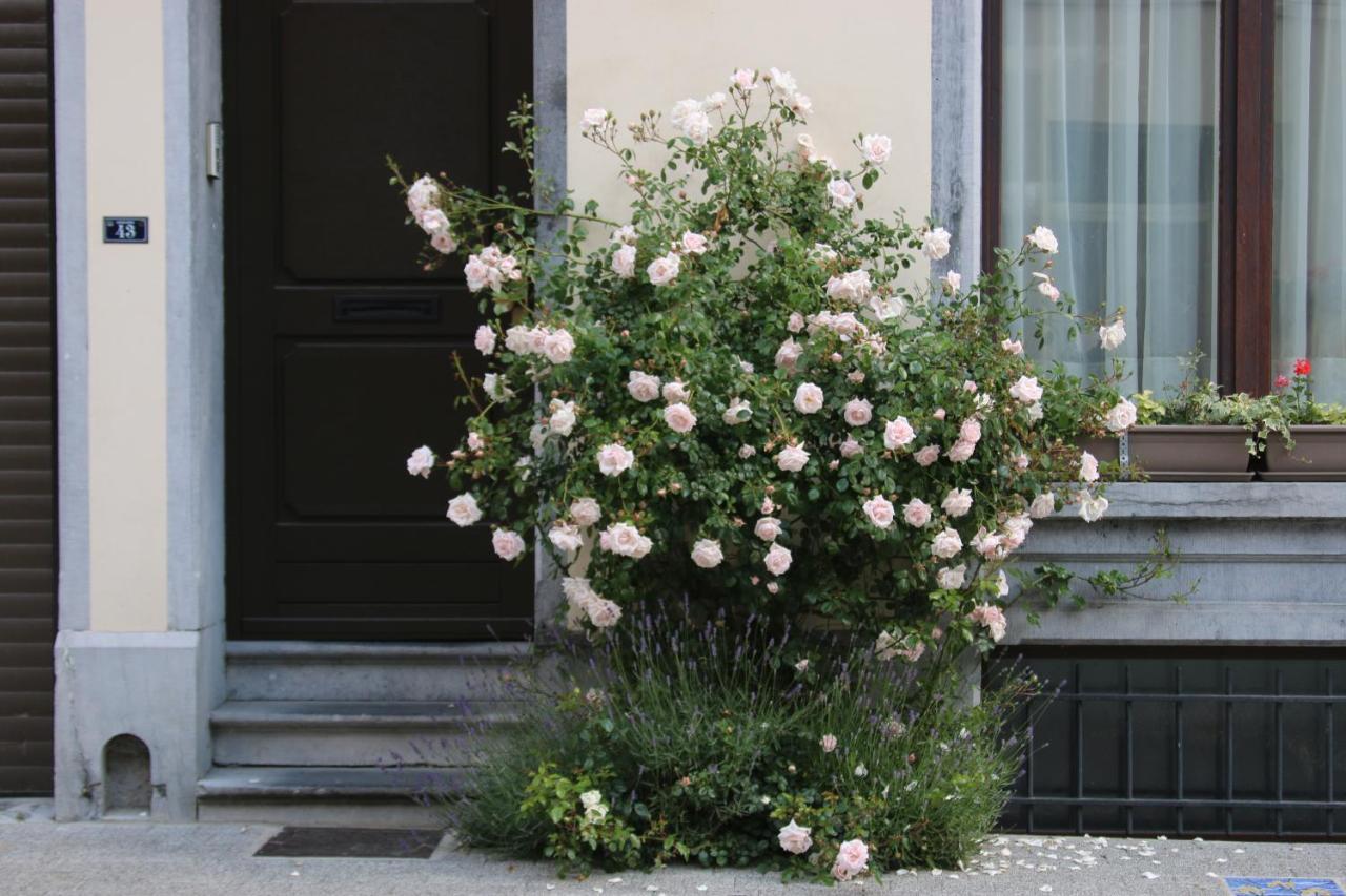 B&B Les Iris - Brussels